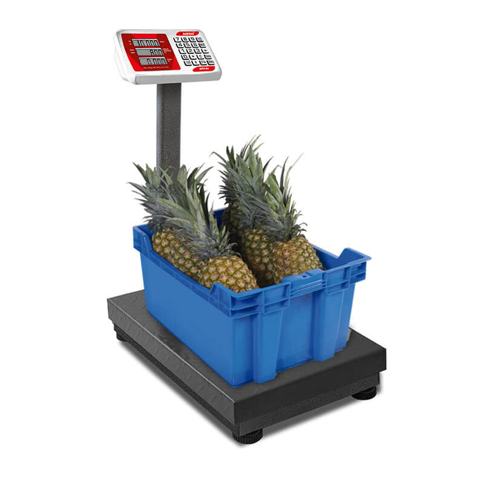 Bascula Plataforma Plegable 400 Kg Vinson BAPLE-400