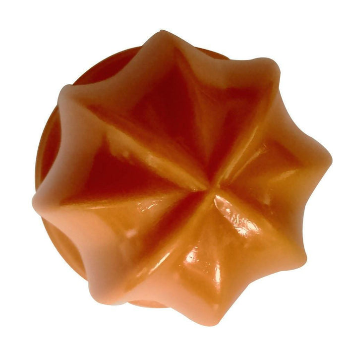 TRITUMEX PN1 Piña plástico para exprimidor naranja Accesorio Tritumex 